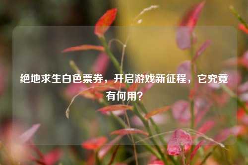 绝地求生白色票券，开启游戏新征程，它究竟有何用？