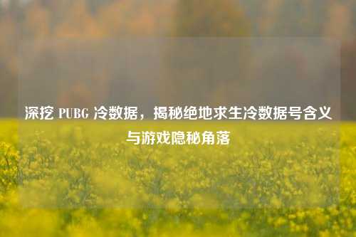 深挖 PUBG 冷数据，揭秘绝地求生冷数据号含义与游戏隐秘角落