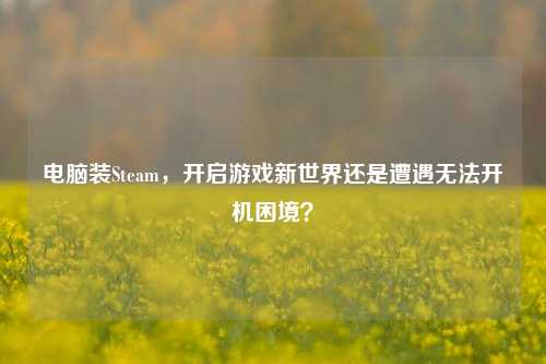 电脑装Steam，开启游戏新世界还是遭遇无法开机困境？