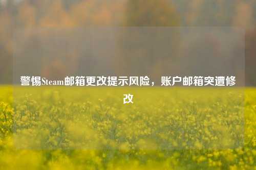 警惕Steam邮箱更改提示风险，账户邮箱突遭修改