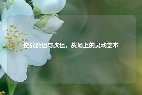 逆战换狙与改狙，战场上的灵动艺术