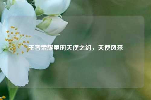 王者荣耀里的天使之约，天使风采