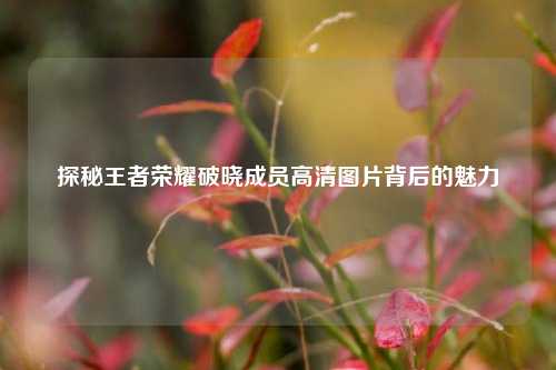 探秘王者荣耀破晓成员高清图片背后的魅力