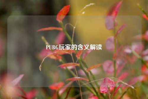 PUBG玩家的含义解读