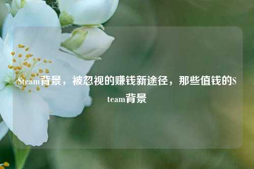Steam背景，被忽视的赚钱新途径，那些值钱的Steam背景