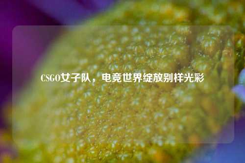 CSGO女子队，电竞世界绽放别样光彩