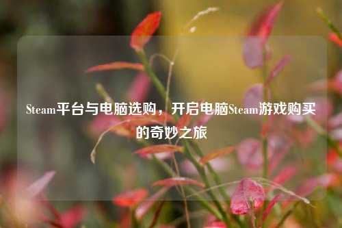 Steam平台与电脑选购，开启电脑Steam游戏购买的奇妙之旅