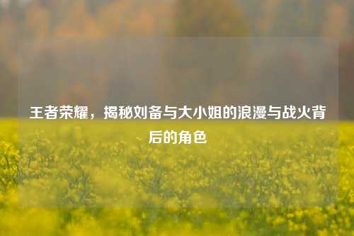 王者荣耀，揭秘刘备与大小姐的浪漫与战火背后的角色