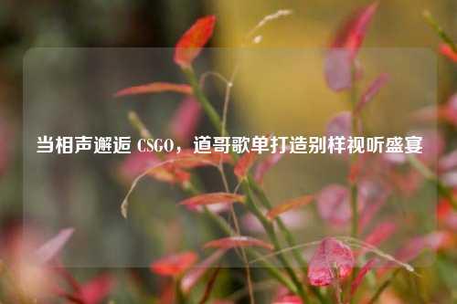 当相声邂逅 CSGO，道哥歌单打造别样视听盛宴