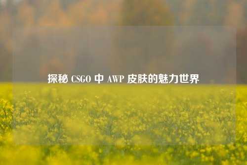 探秘 CSGO 中 AWP 皮肤的魅力世界