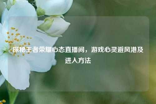 探秘王者荣耀心态直播间,游戏心灵避风港及进入方法