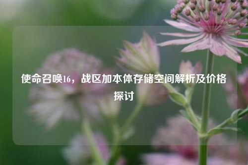 使命召唤16，战区加本体存储空间解析及价格探讨