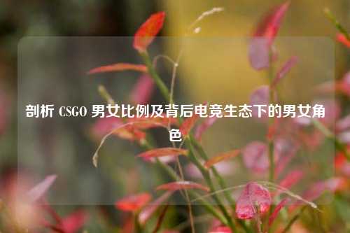 剖析 CSGO 男女比例及背后电竞生态下的男女角色