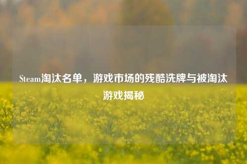 Steam淘汰名单,游戏市场的残酷洗牌与被淘汰游戏揭秘