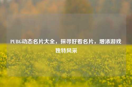 PUBG动态名片大全,探寻好看名片,增添游戏独特风采