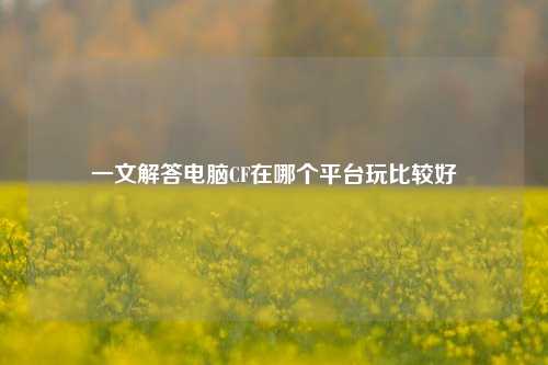 一文解答电脑CF在哪个平台玩比较好