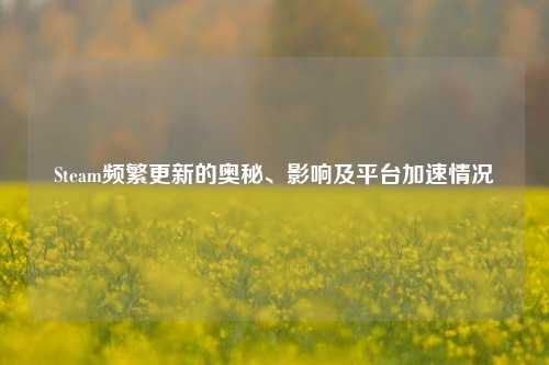 Steam频繁更新的奥秘、影响及平台加速情况