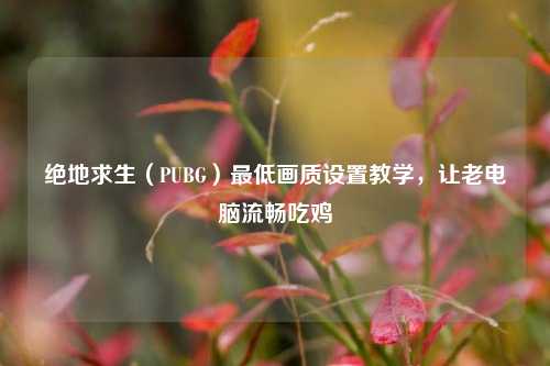 绝地求生（PUBG）最低画质设置教学，让老电脑流畅吃鸡