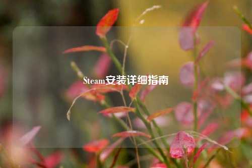 Steam安装详细指南