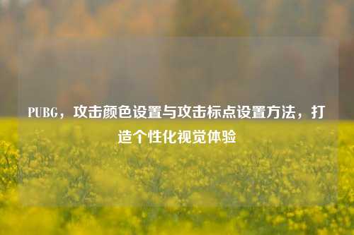 PUBG,攻击颜色设置与攻击标点设置方法,打造个性化视觉体验