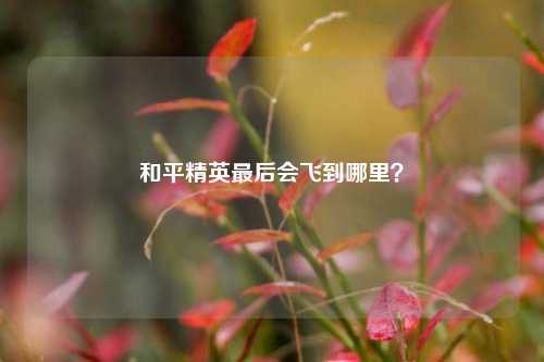 和平精英最后会飞到哪里？