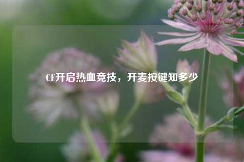 CF开启热血竞技，开麦按键知多少