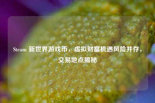 Steam 新世界游戏币，虚拟财富机遇风险并存，交易地点揭秘