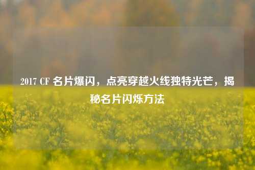 2017 CF 名片爆闪，点亮穿越火线独特光芒，揭秘名片闪烁方法