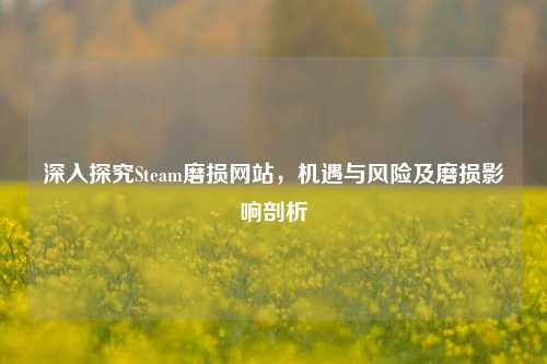 深入探究Steam磨损网站,机遇与风险及磨损影响剖析