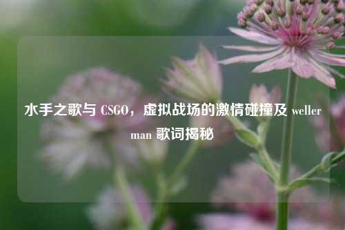 水手之歌与 CSGO，虚拟战场的激情碰撞及 wellerman 歌词揭秘