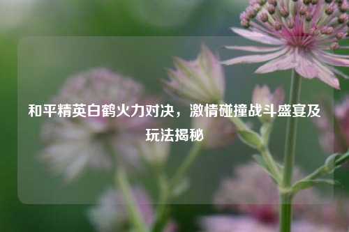 和平精英白鹤火力对决，激情碰撞战斗盛宴及玩法揭秘