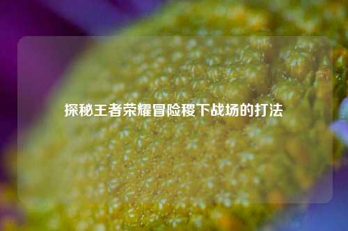 探秘王者荣耀冒险稷下战场的打法