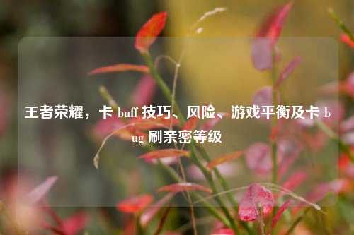 王者荣耀,卡 buff 技巧、风险、游戏平衡及卡 bug 刷亲密等级
