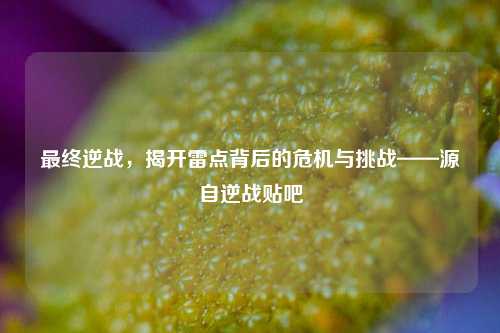 最终逆战,揭开雷点背后的危机与挑战——源自逆战贴吧
