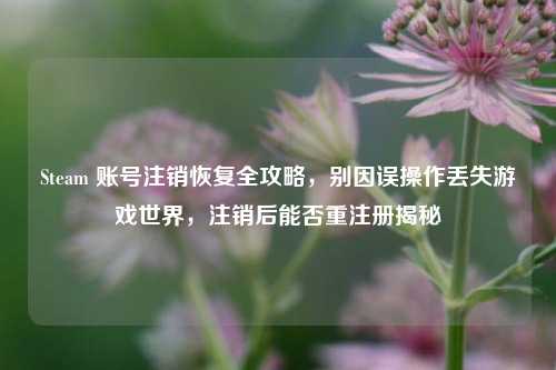 Steam 账号注销恢复全攻略，别因误操作丢失游戏世界，注销后能否重注册揭秘