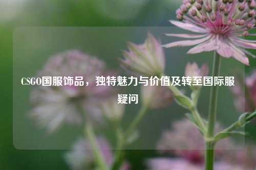 CSGO国服饰品，独特魅力与价值及转至国际服疑问