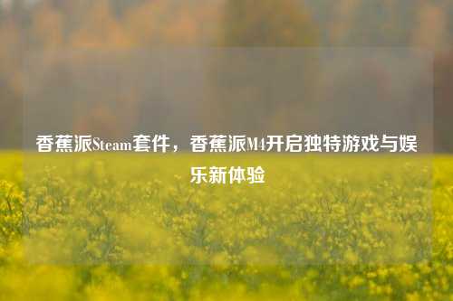 香蕉派Steam套件，香蕉派M4开启独特游戏与娱乐新体验