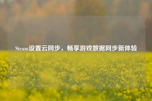 Steam设置云同步,畅享游戏数据同步新体验