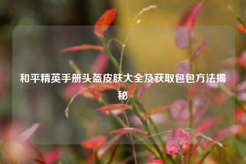 和平精英手册头盔皮肤大全及获取包包方法揭秘