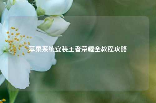 苹果系统安装王者荣耀全教程攻略