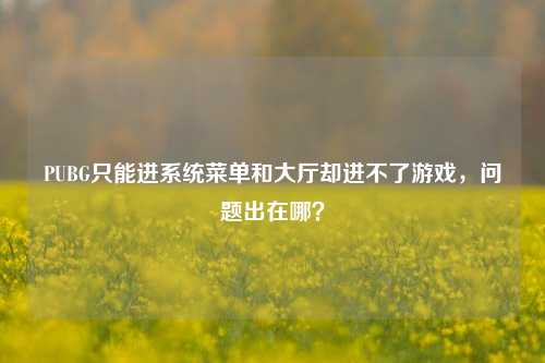 PUBG只能进系统菜单和大厅却进不了游戏，问题出在哪？