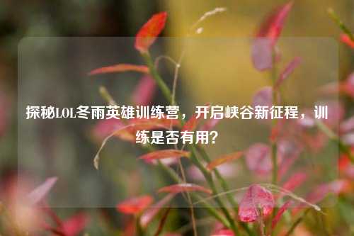 探秘LOL冬雨英雄训练营,开启峡谷新征程,训练是否有用?