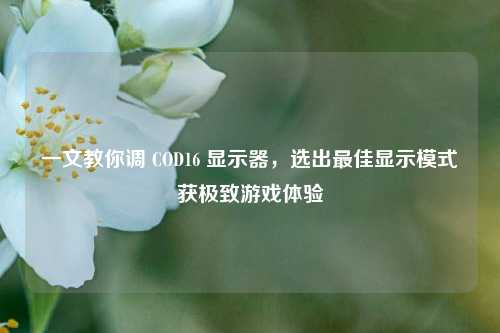 一文教你调 COD16 显示器，选出最佳显示模式获极致游戏体验