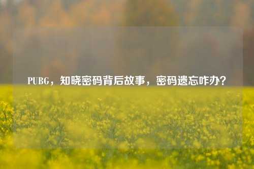 PUBG，知晓密码背后故事，密码遗忘咋办？