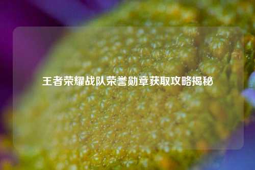 王者荣耀战队荣誉勋章获取攻略揭秘