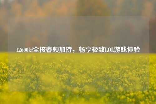 12600kf全核睿频加持，畅享极致LOL游戏体验