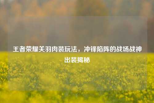王者荣耀关羽肉装玩法，冲锋陷阵的战场战神出装揭秘