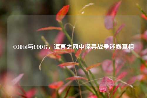 COD16与COD17，谎言之网中探寻战争迷雾真相