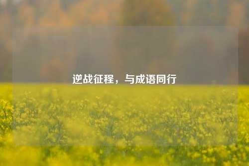 逆战征程，与成语同行