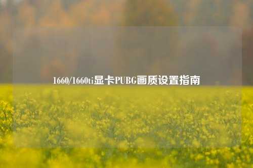 1660/1660ti显卡PUBG画质设置指南